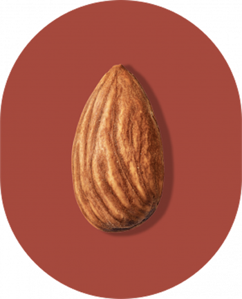 Almond